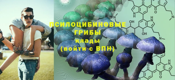 прущая мука Белокуриха