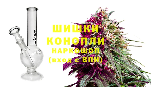 прущая мука Белокуриха