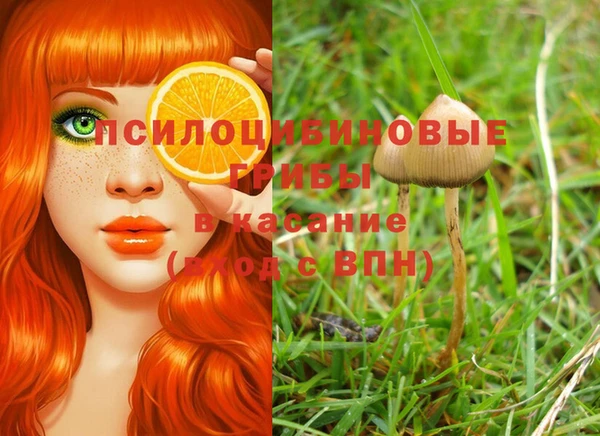 не бодяженный Беломорск