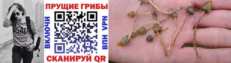 сайты даркнета официальный сайт Пионерский Галлюциногенные грибы MAGIC MUSHROOMS купить наркоту
