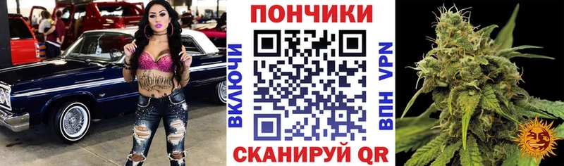 блэк спрут   купить   Пионерский  Шишки марихуана индика 